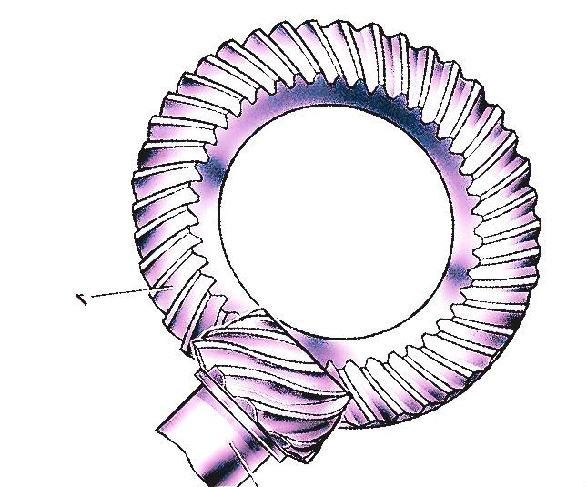 Hypoid Gears