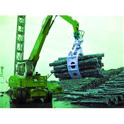 Worm Gear Slewing Drive For Timber Grab