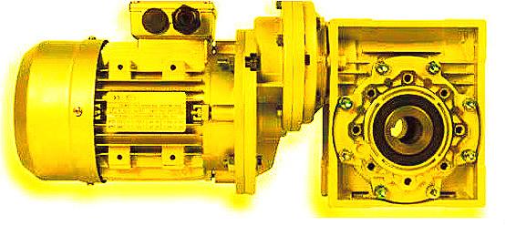 CHPC WORM GEARED MOTORS