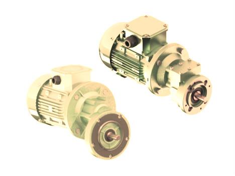 Poultry&Pig Geared Motors For Feeding Systems Opening And Closing Of Windows In The Farm Tecno