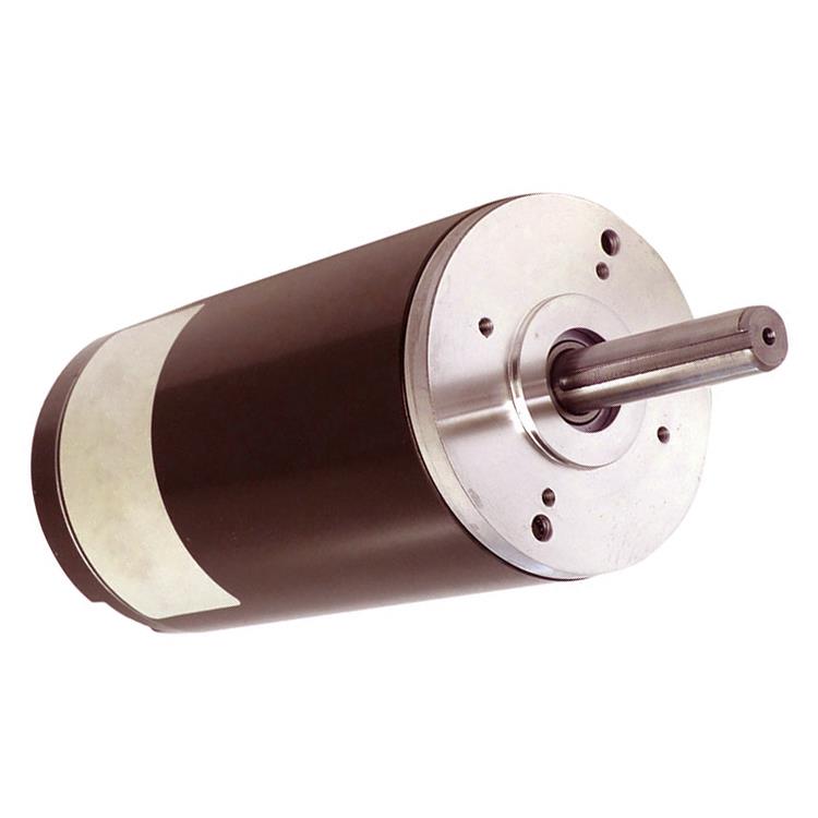 24v Motor