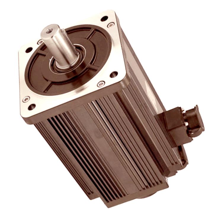 Ac Servo Motor