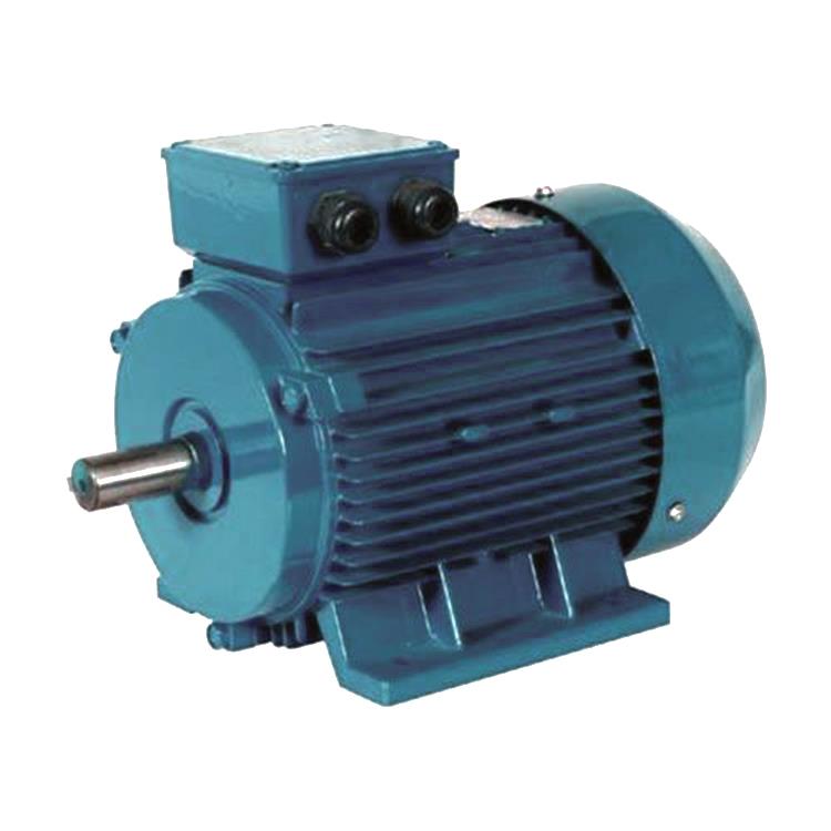 Three Phase Synchronous Motor