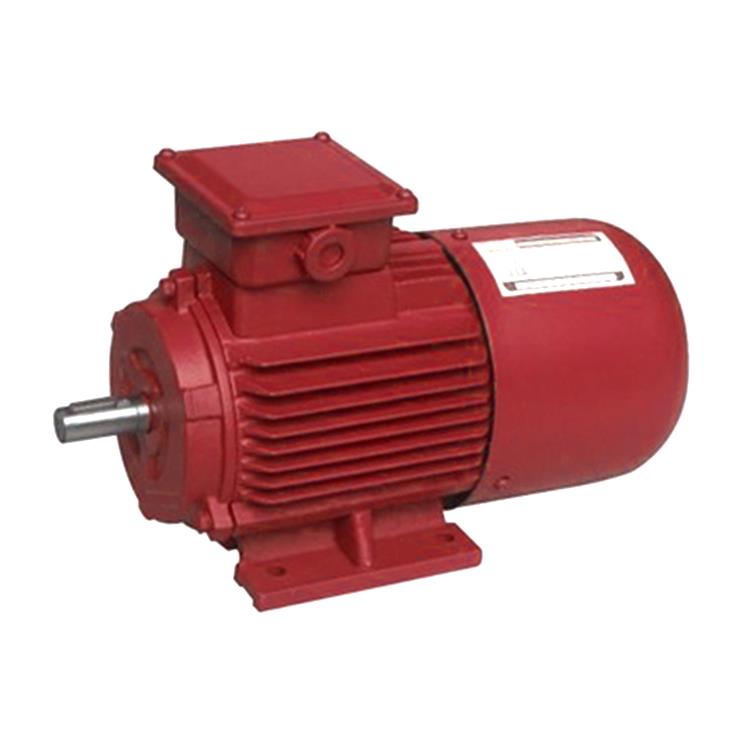3 Phase Synchronous Motor