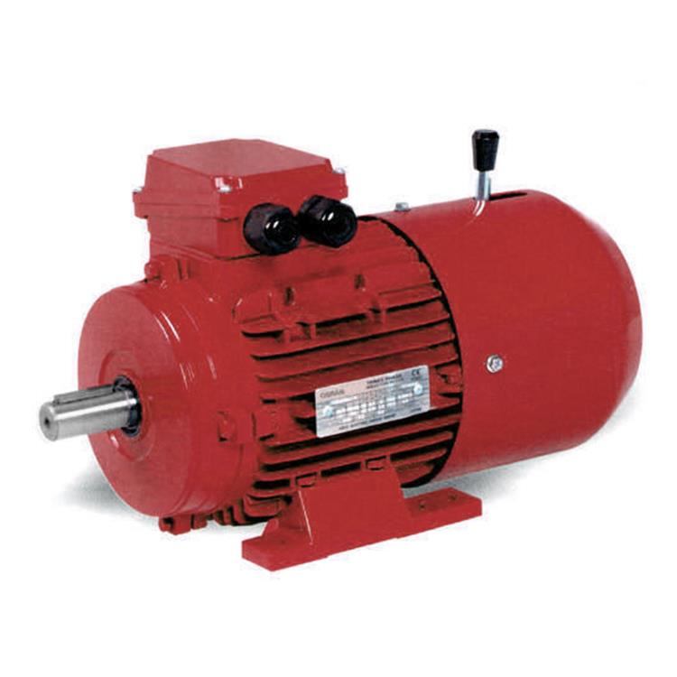 Brake Motor