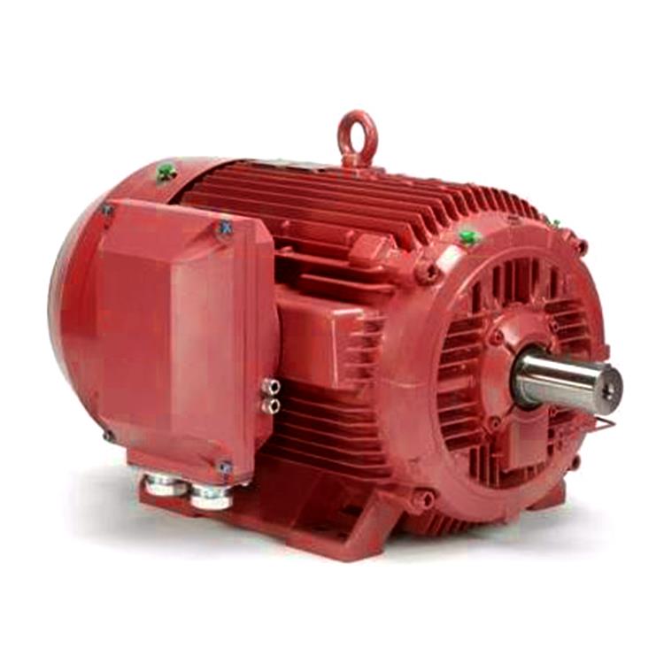 Ac Induction Motor