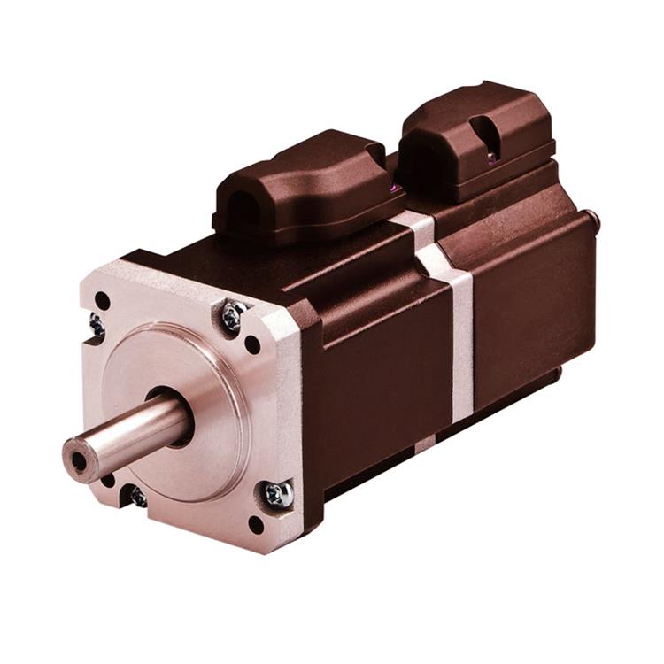 Ac Servo Motor