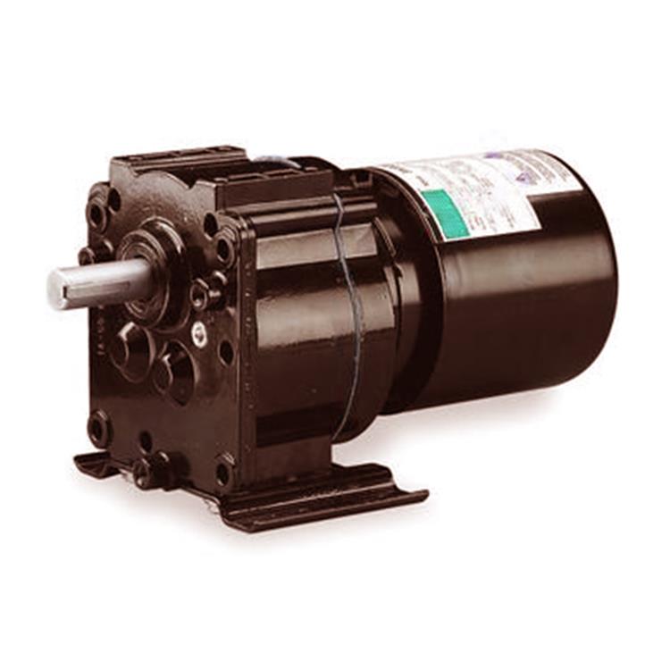 Ac Gear Motor