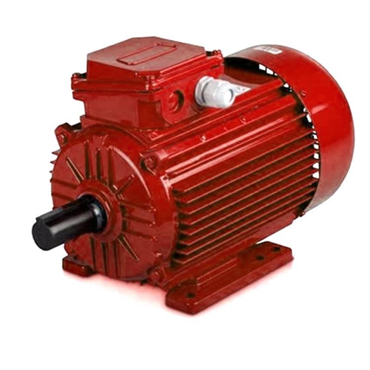 Single Phase Ac Motor