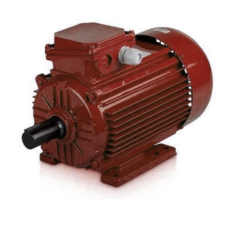Single Phase Induction Motor
