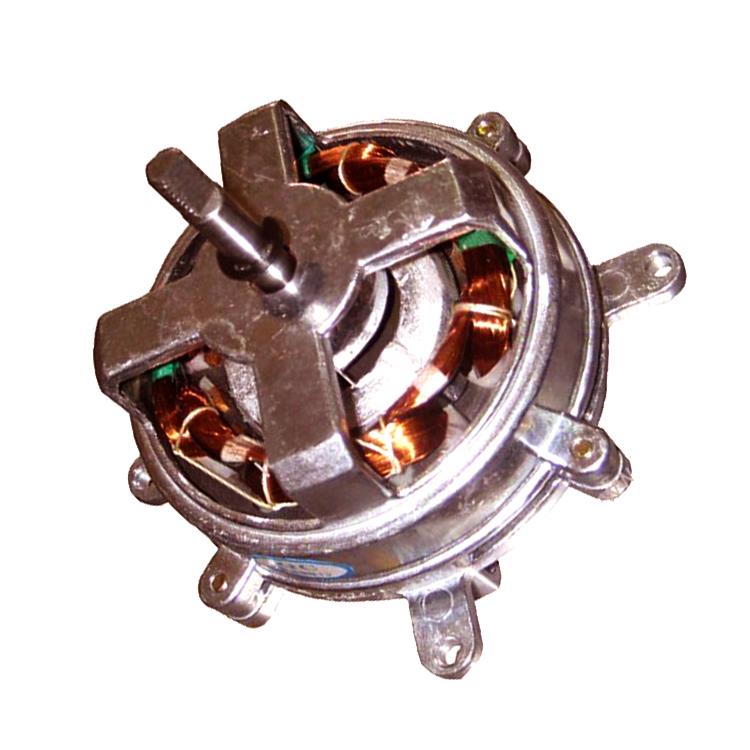 Electric Fan Motor