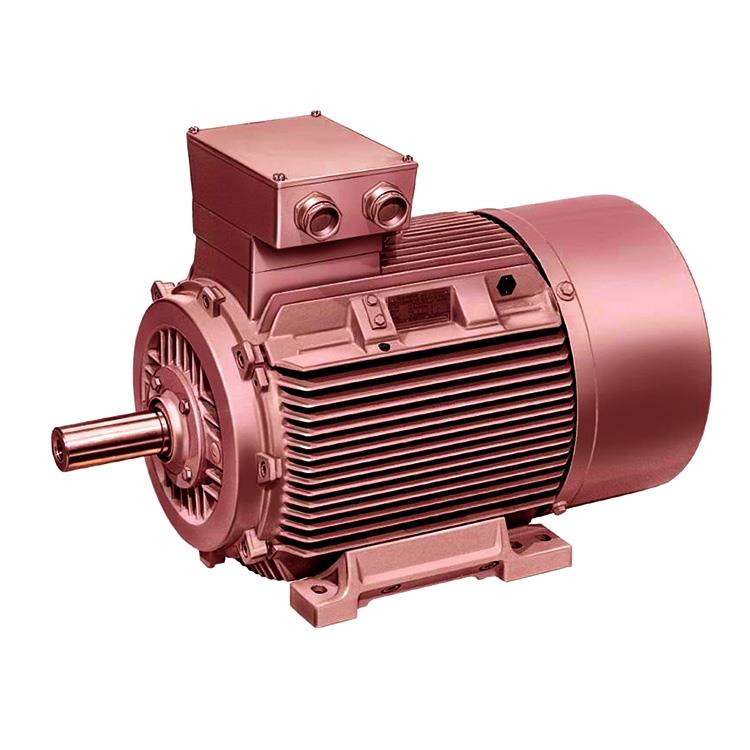 Electrical Motors