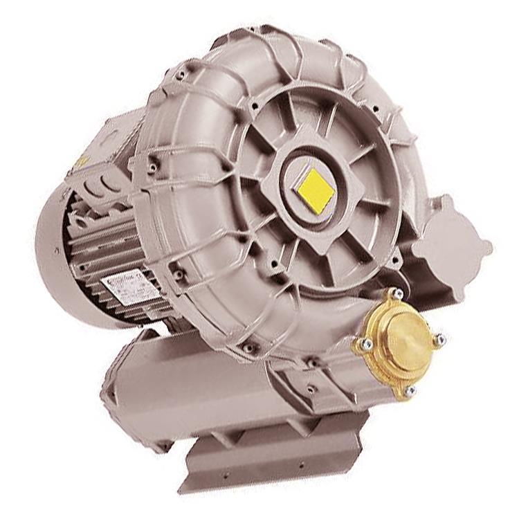 Centrifugal Vacuum Pump