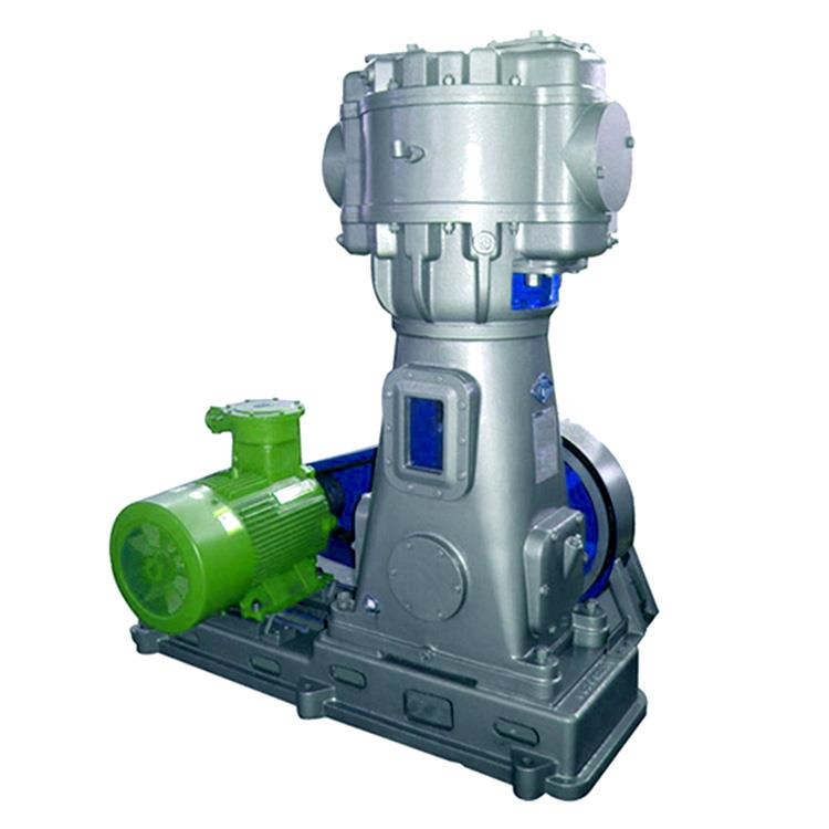 Reciprocating Vacuum Pump