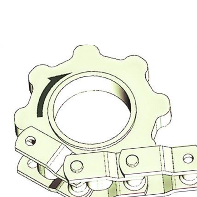 Pintle Chain