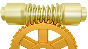 Globoid Worm Gear