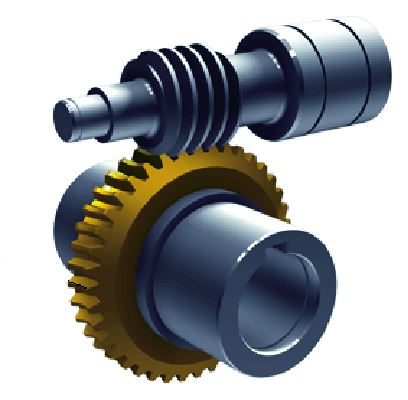 Single Start Worm Gear