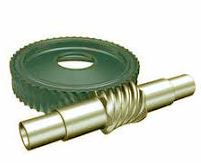 Worm Gear Enveloping