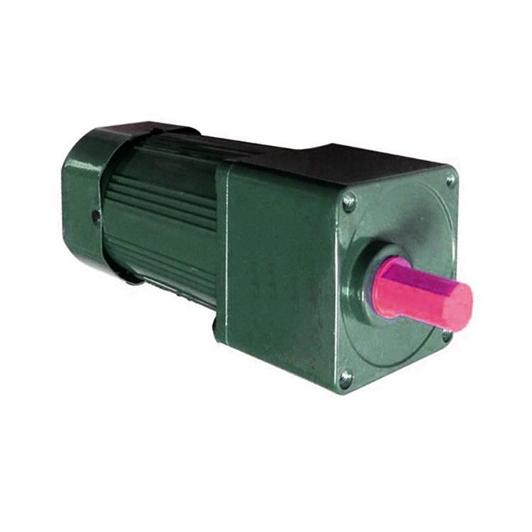 Variable Speed Electric Motor