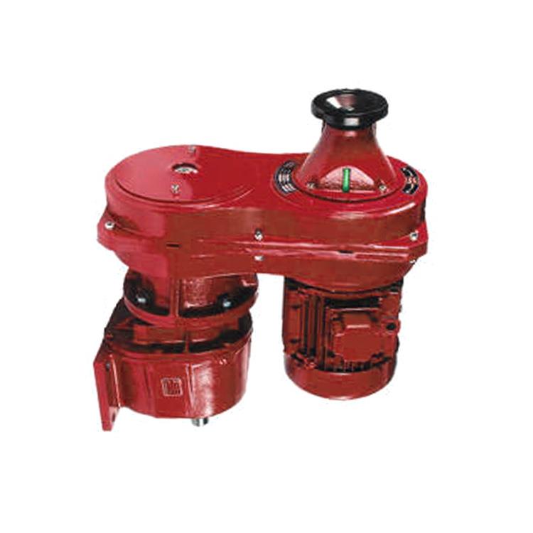 Variable Speed Gear Motor