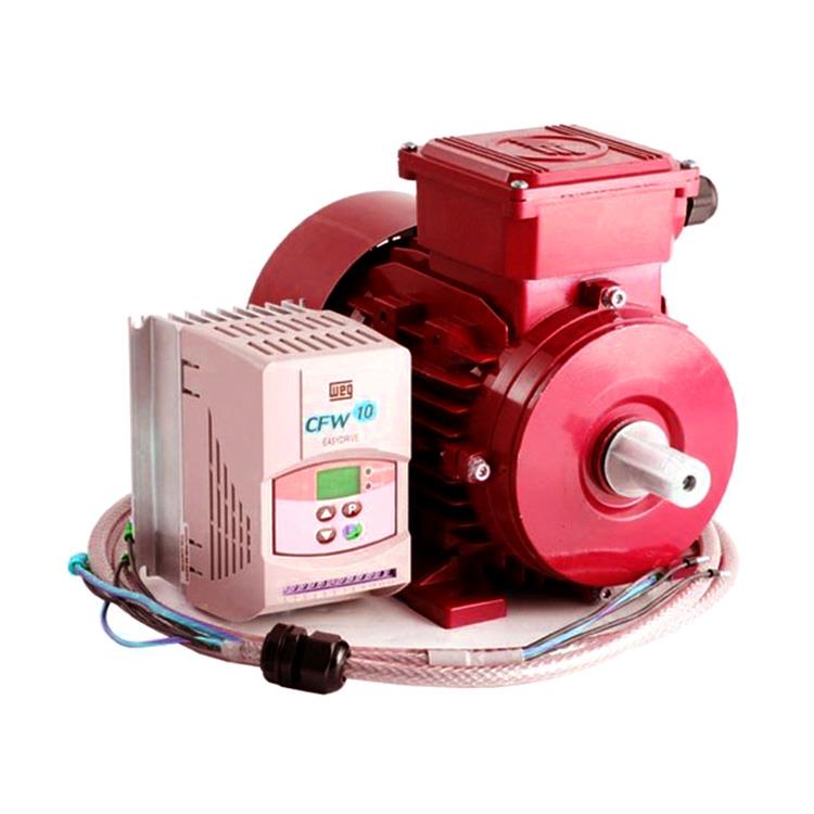 Variable Drive Motor