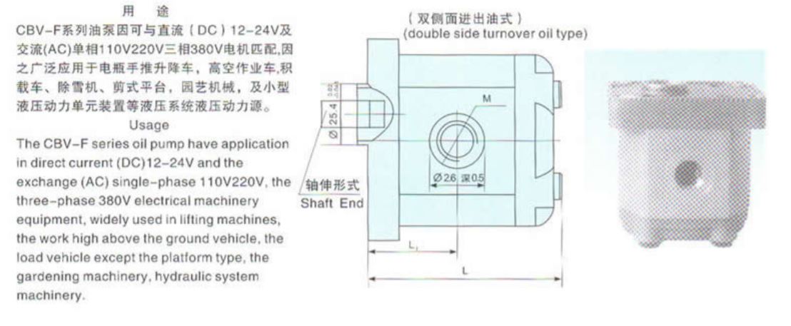 Gear Pump