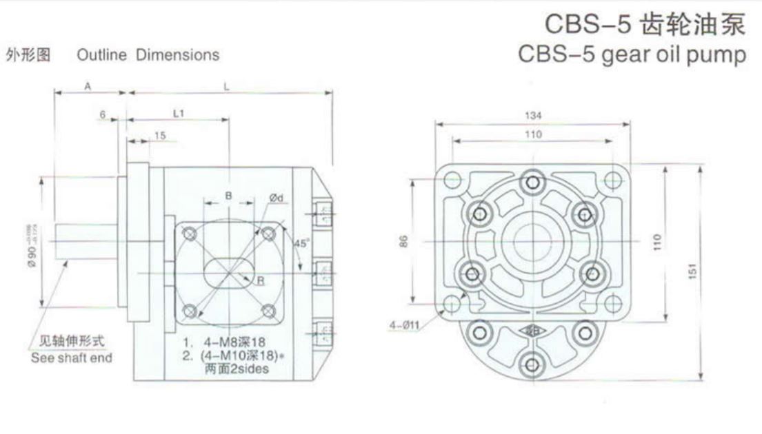 Gear Pump