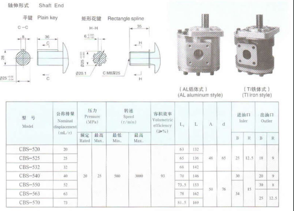 Gear Pump