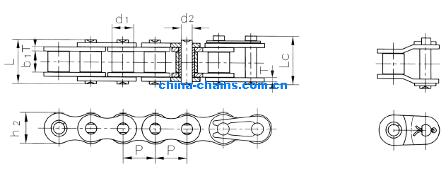 Stainless Steel Chain