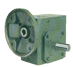 Worm Gear Reduer