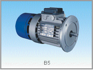 Brake Motor