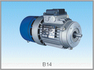 Brake Motor