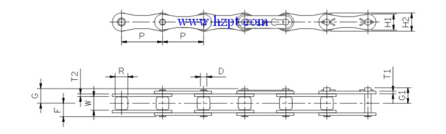 Double Roller Chain