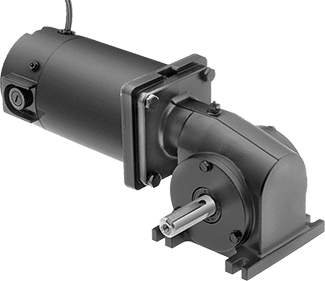 Worm Motor