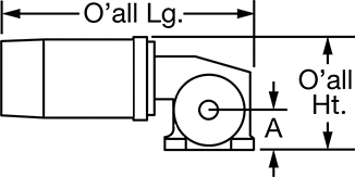 Worm Motor