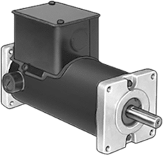 24v Motor