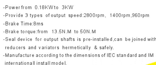 Electric Motor Brake