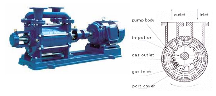Liquid-ring Vacuum Pump