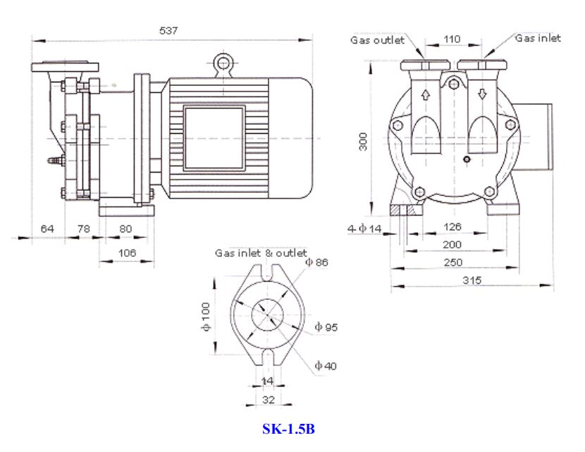 Liquid-ring Vacuum Pump