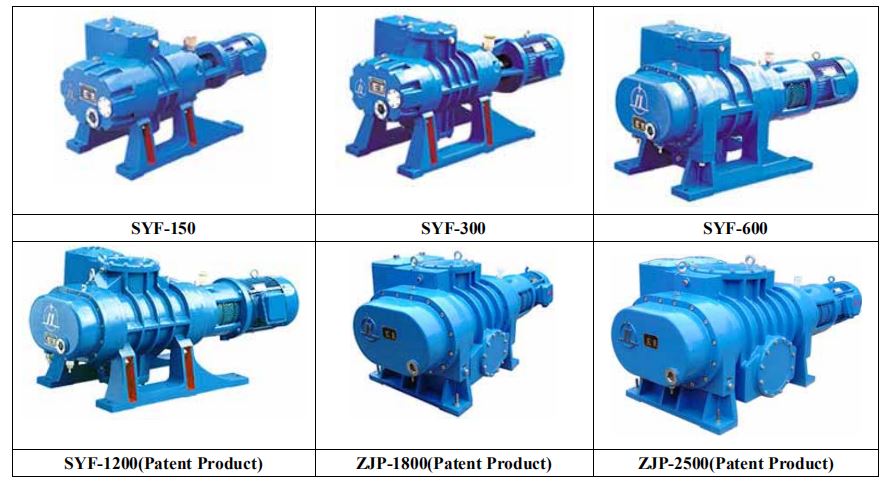 Roots Vacuum Pump
