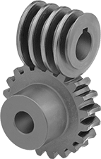 Precision Worm Gear