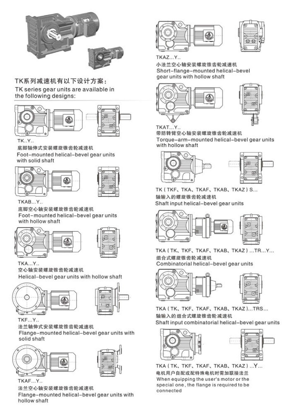 Helical Bevel Gear Motor