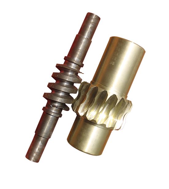 Worm Gear Shaft