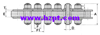 Duplex Chain