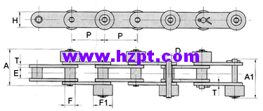 Duplex Chain