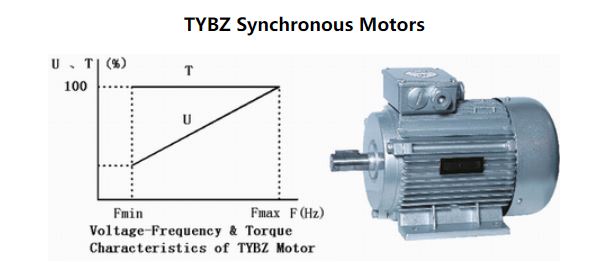 Ac Synchronous Motor
