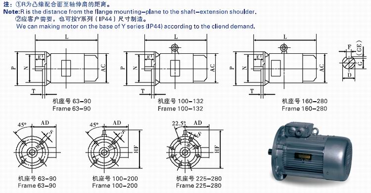 Three Phase Synchronous Motor