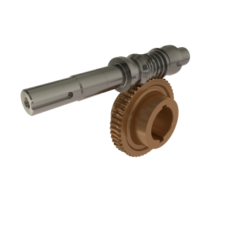 Enveloping Worm Gear