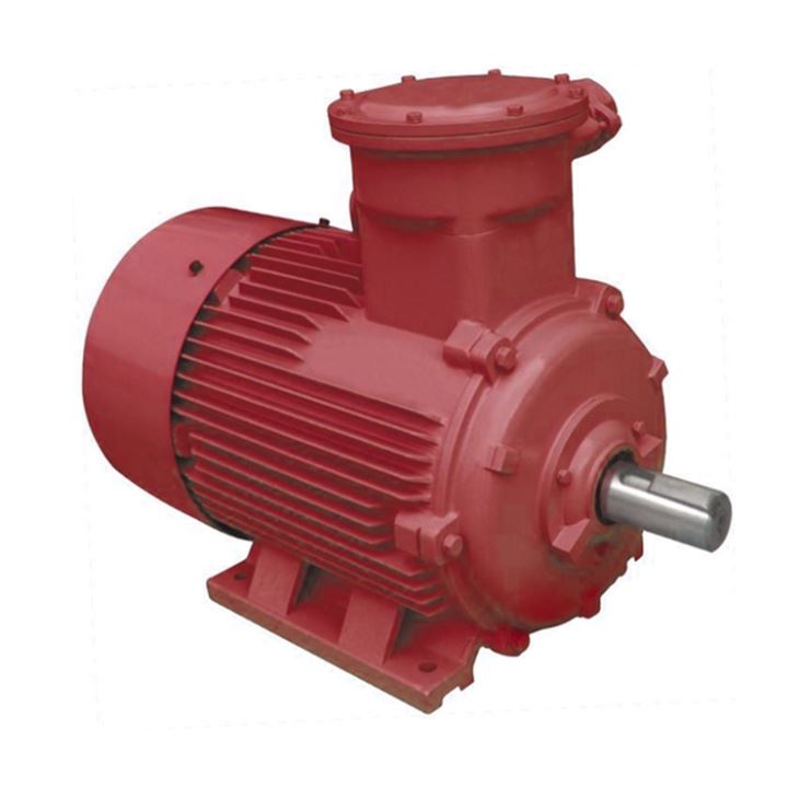 Ac Electric Motor