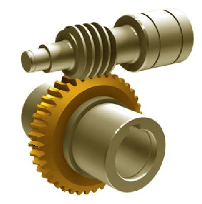 Gear Worm Wheel